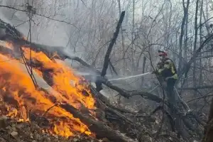 행안부 장관, 경주 산불에 “가용자원 신속 투입, 총력 대응” 긴급 지시