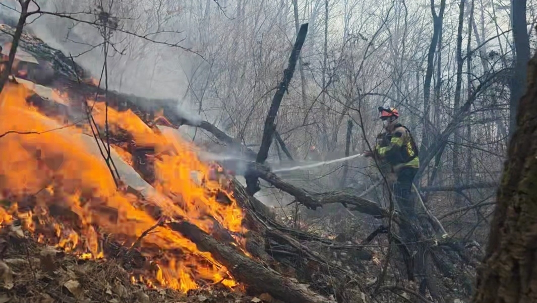 소방당국, 경주 산불 진화 안간힘