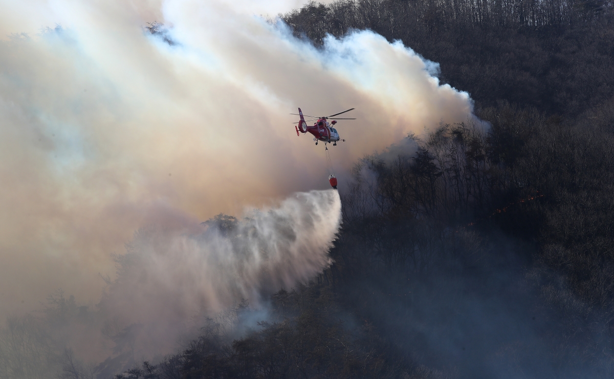 강풍 타고 번지는 ‘경주 산불’