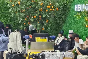 하늘길 다시 열려 항공편 증편 했지만… 일부 체류객들 공항서 날밤 새나