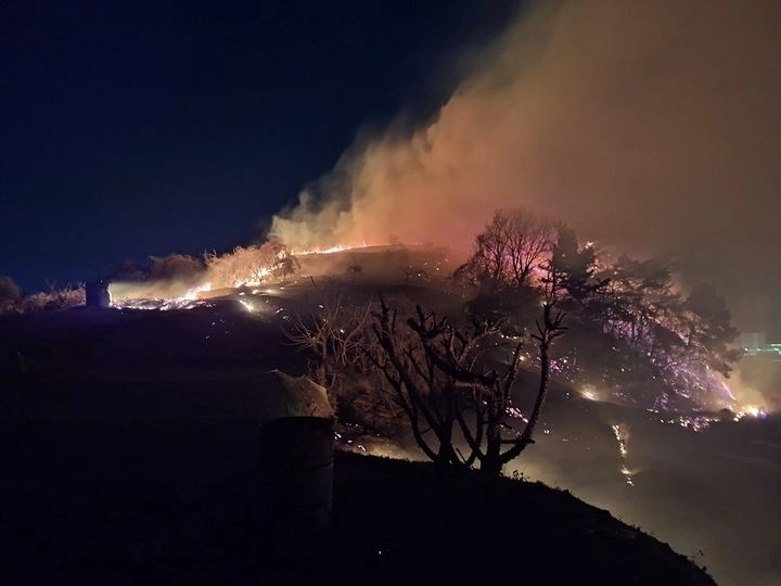 8일 오후 7시 47분쯤 전남 여수시 묘도동에서 산불이 발생했다. 뉴시스