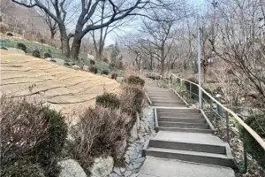 서대문 연희숲속쉼터 ‘벚꽃 축제’ 안전 개최 준비 완료