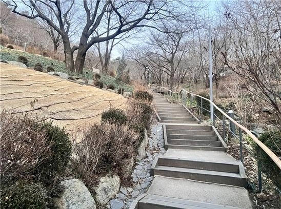 서울 서대문구가 정비한 안산 연희숲속쉼터의 보행로. 서대문구 제공