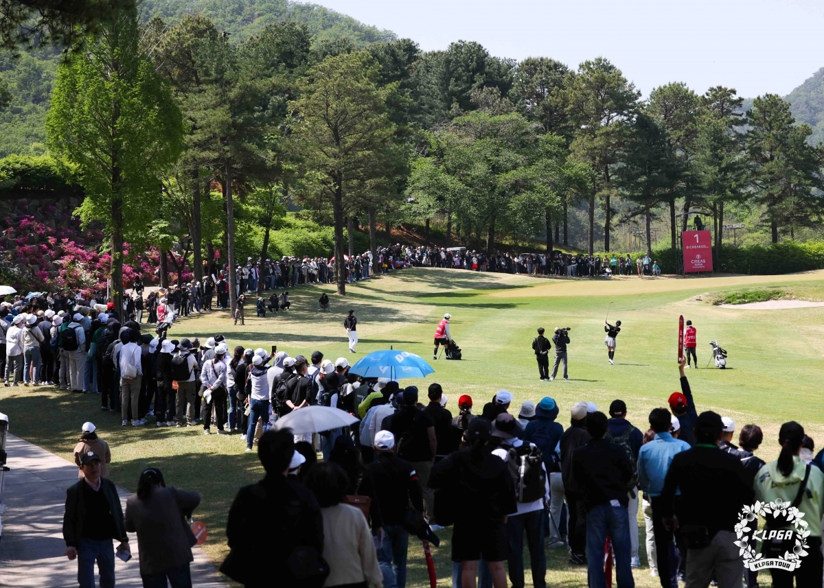 4라운드 72홀 경기로 우승자를 가리는 KLPGA 챔피언십에 모인 갤러리들.  KLPGA 제공.