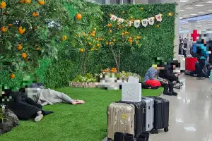 주말밤 제주공항 심야 체류객은 24명… 오늘 임시편 4편 증편 결항 승객 수송