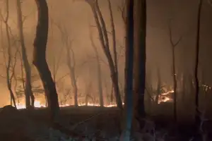 부산 쇠미산 화재 9시간 만에 초진…4만㏊ 소실