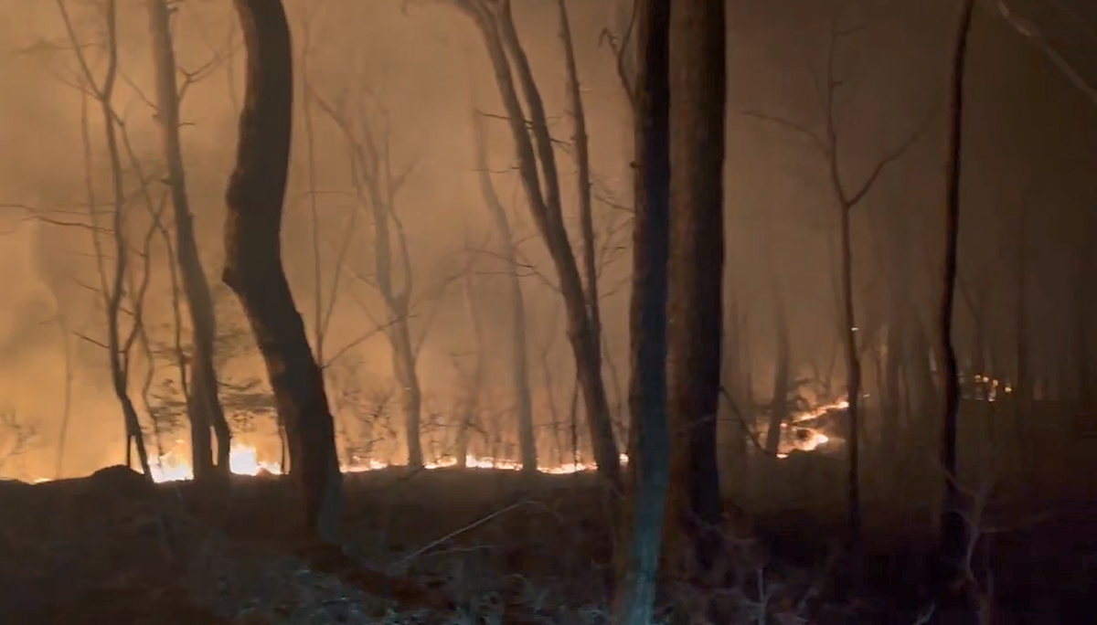 지난 8일 오후 8시 38분쯤 화재가 발생한 부산 동래구 쇠미산. 부산소방재난본부 제공