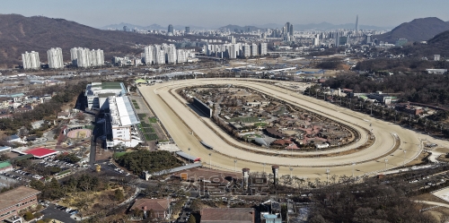 경기 과천시 과천경마장 인근 모습. 서울신문 DB