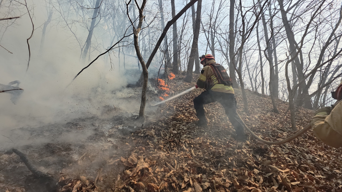 소방대원이 지난 7일 발생한 경북 경주시 문무대왕면 일대 산불 현장에 투입돼 진화 작업에 나서고 있다. 경북소방본부 제공