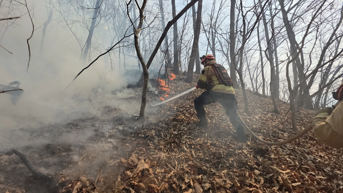 소방대원이 지난 7일 발생한 경북 경주시 문무대왕면 일대 산불 현장에 투입돼 진화 작업에 나서고 있다. 경북소방본부 제공