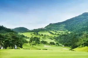 같이 골프치던 ‘초보’ 공에 눈 맞아 봉합 수술…손해배상 책임은?