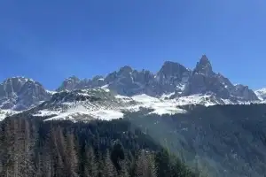 thumbnail - 나무가 일식을 예측한다는 연구는 새빨간 거짓말?