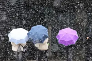 [포토] 부산에도 함박눈이 ‘펑펑’