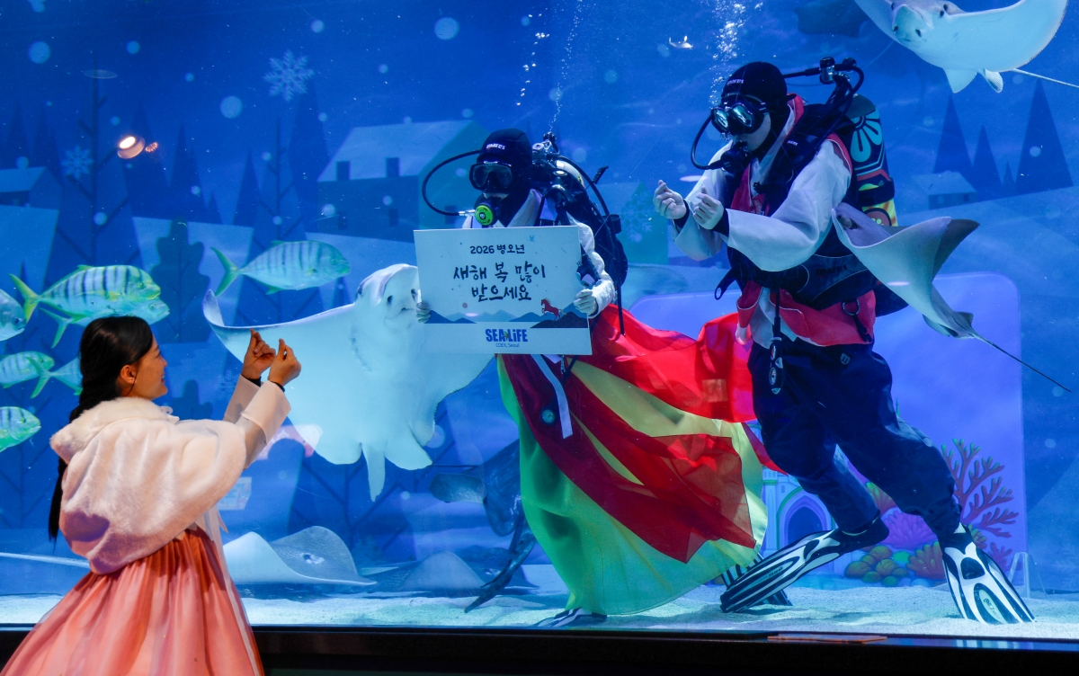 물속에서 전하는 ‘새해 인사’