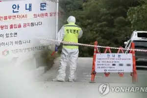 오리 1만 5000마리 출하 앞둔 성주군 농장서 AI 항원 검출…정밀 검사 실시