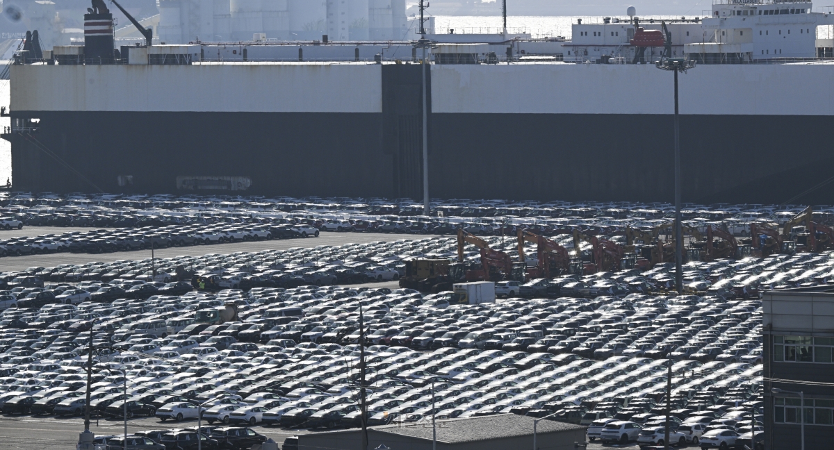 경기 평택시 평택항에 세워져 있는 차량들. 본 기사와 직접적 관계 없음. 2026.1.27 이지훈 기자