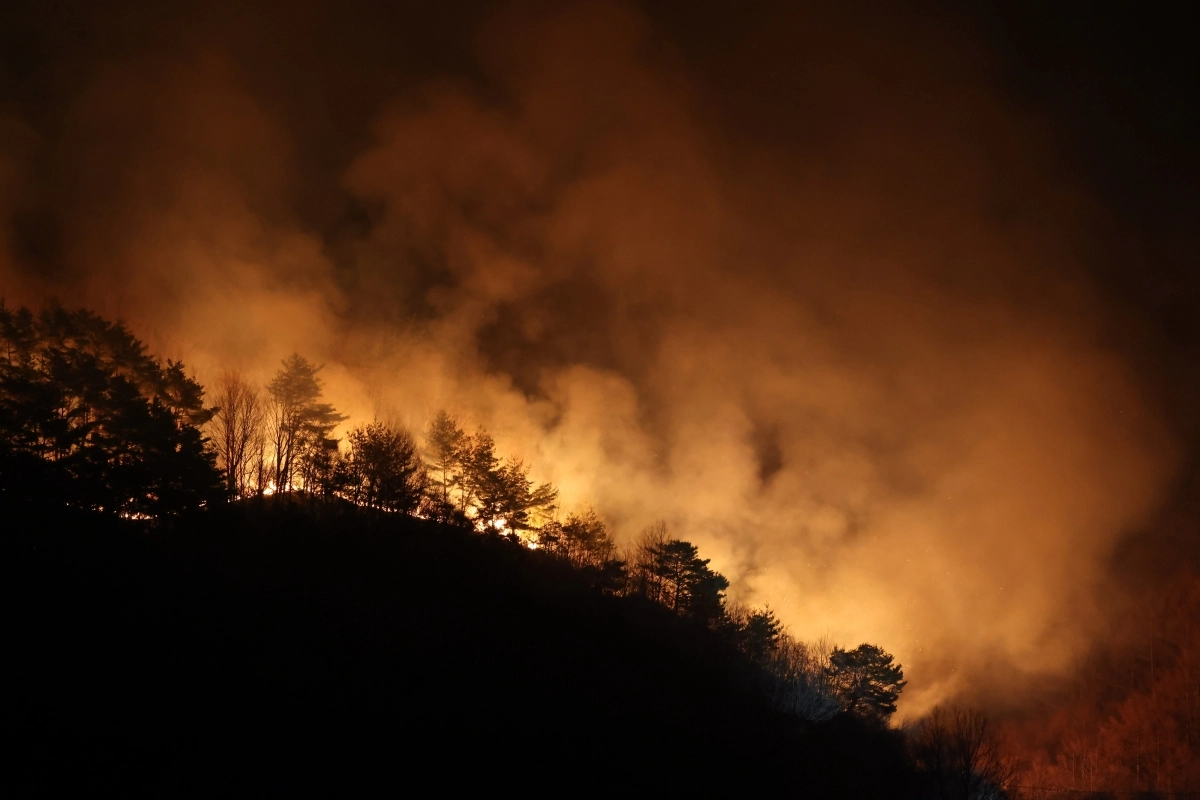 지난해 경남 산청군 시천면 야산에서 산불이 확산하고 있다. 연합뉴스