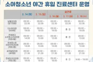 설 연휴 응급 상황 걱정 뚝… 강남구 비상진료체제 가동