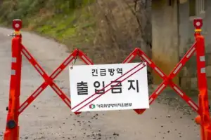 충남 당진 양돈농가서 ASF…‘긴급 차단방역’