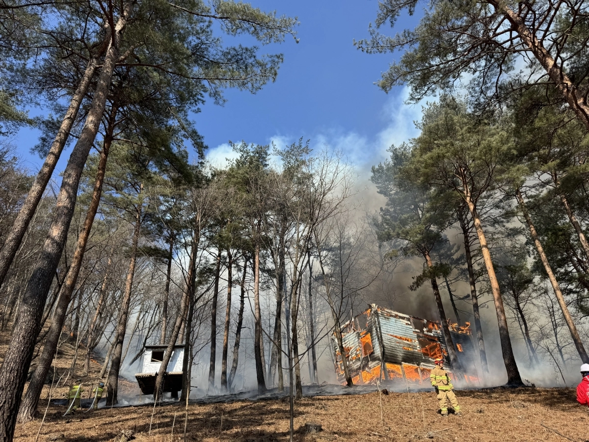 12일 강원 양양 현북면 장리의 한 야산에서 불이 나 소방대원들이 진화작업을 벌이고 있다. 강원도산불방지대책본부 제공