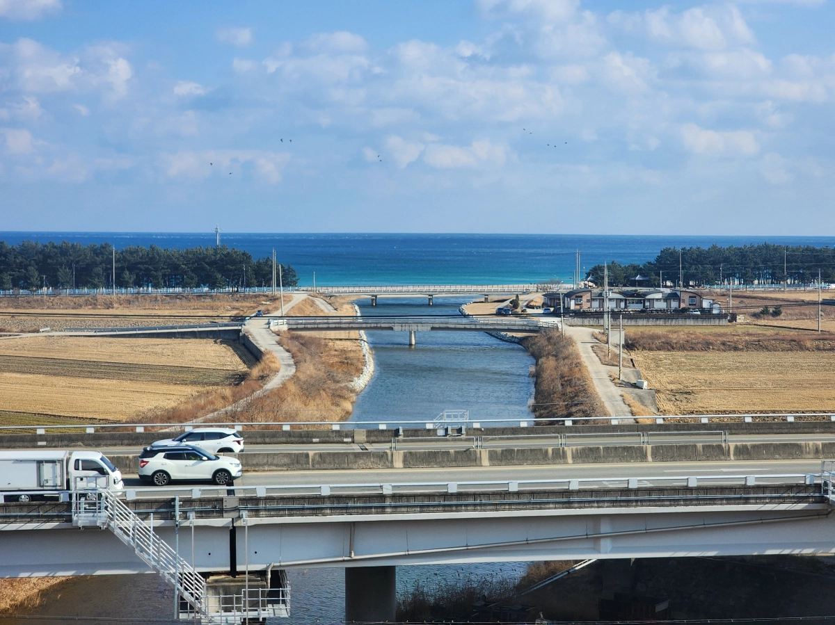 동해선 철도 열차 안에서 본  동해안 풍경. 서울신문 DB