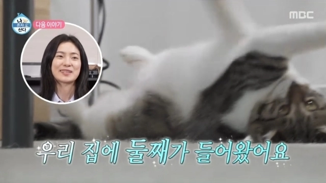 사진=MBC ‘나 혼자 산다’ 캡처