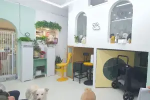 강북 “취약계층 멍냥이 돌봐 드려요”