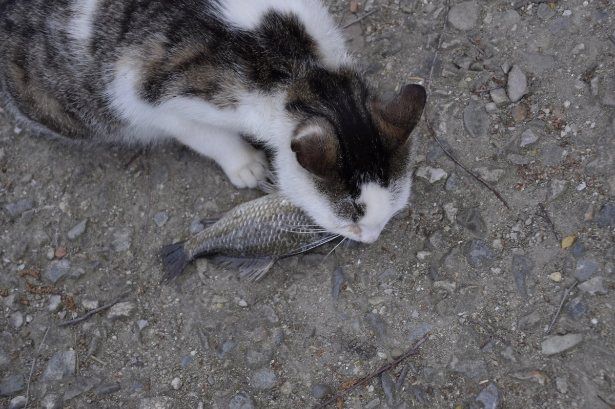 기사 내용과 직접 관련 없는 자료 이미지. 아이클릭아트