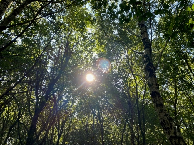 thumbnail - 사람 건강엔 장내 미생물, 식물 건강은 뿌리 미생물