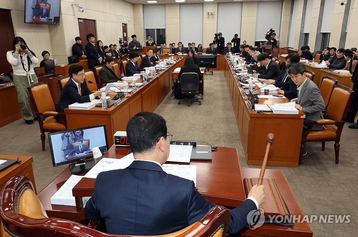 12일 국회에서 열린 행정안전위원회 전체 회의에서 충남대전, 전남·광주, 대구경북 지역의 행정통합을 위한 특별법과 관련한 논의가 한창이다. 연합뉴스.