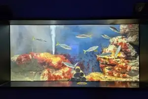 전남해양수산과학관·섬진강어류생태관, 설 연휴 개관