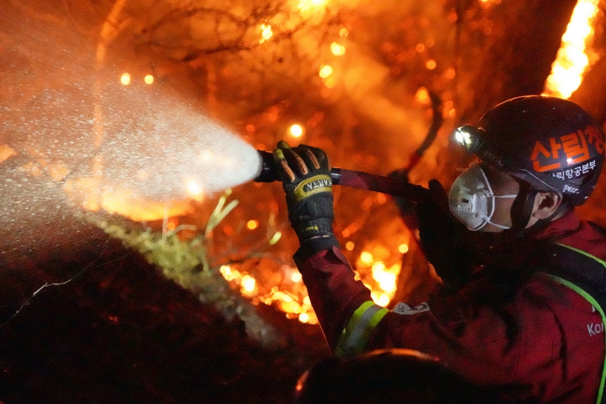 2023년 경남 합천 야간 산불 현장에서 산림청 특수진화대원이 불을 끄고 있다. 서울신문 DB