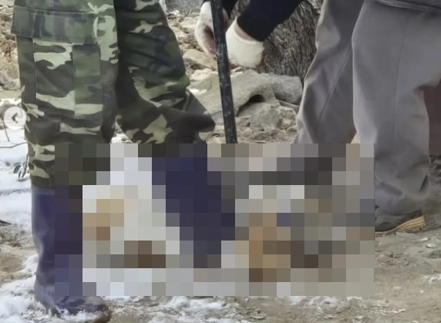 전북 익산의 한 공공기관에서 반려견 3마리를 입양한 뒤 도살한 혐의를 받는 70대 남성이 경찰 수사를 받고 있다. 사진은 이 남성 등이 반려견을 발로 밟아 끌고 가는 모습. 자료 : 동물보호단체 위액트