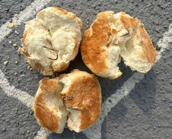 전남 나주시 반려견 놀이터에서 한 견주가 발견했다고 주장한 ‘낚시바늘이 꽂힌 빵’. 뉴시스