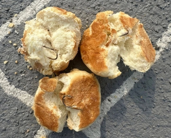 전남 나주시 반려견 놀이터에서 한 견주가 발견했다고 주장한 ‘낚시바늘이 꽂힌 빵’. 뉴시스