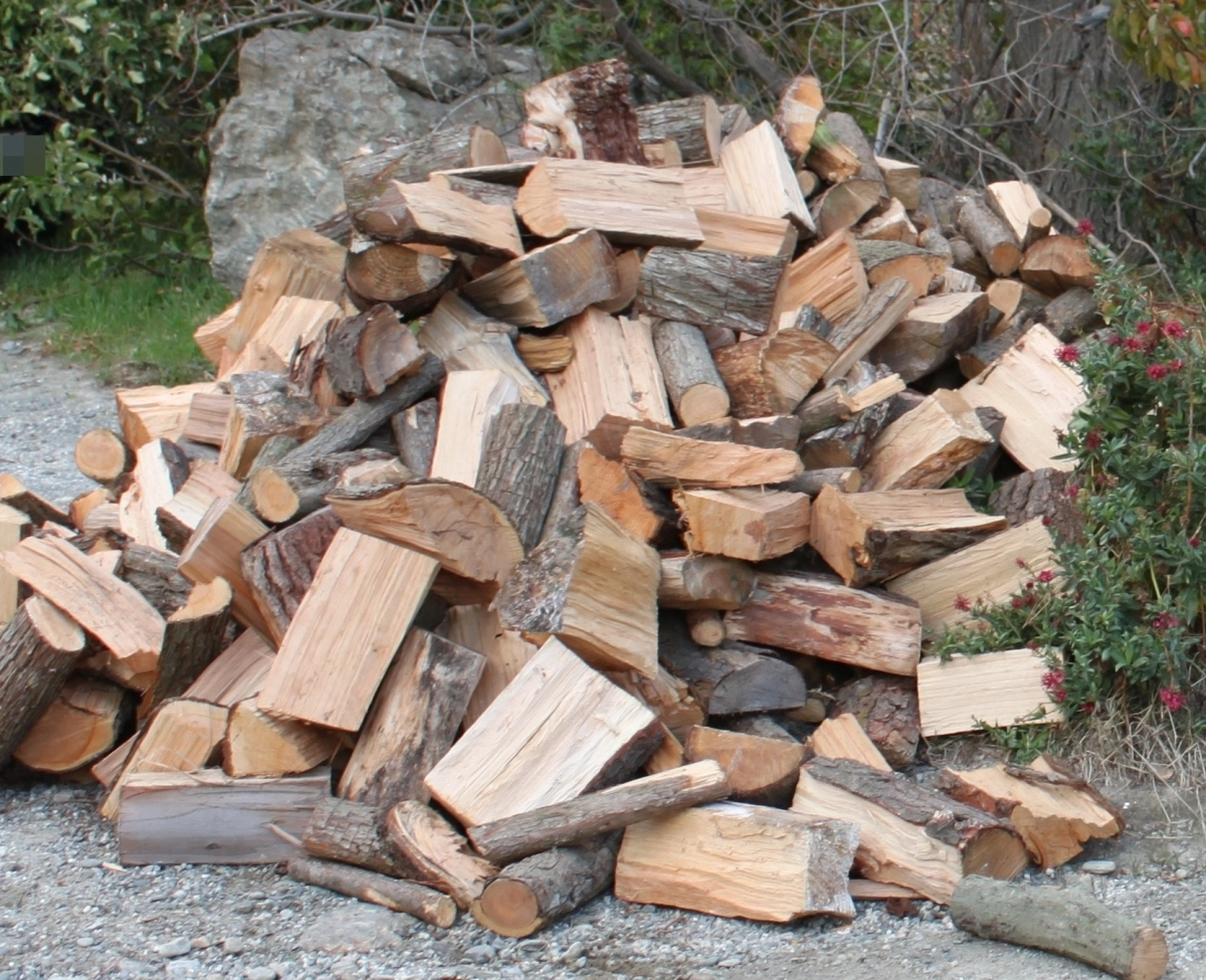 땔감나무 자료 사진. 기사와 직접적인 관련 없음. 연합뉴스