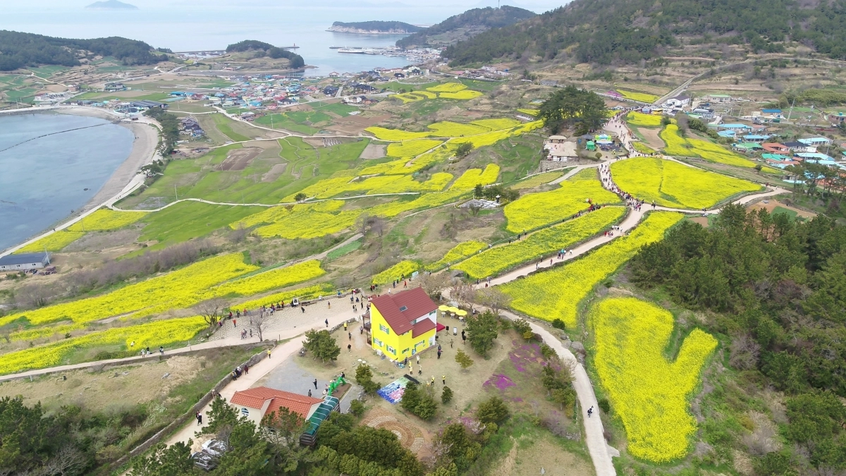 완도 청산도. 전남도 제공