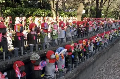 “‘이것’ 기리는 日사찰”…최준희, 웨딩화보 촬영지 논란 해명