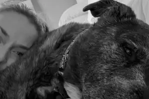 ‘골절 부상’ 린지 본 “내가 사고 당한 날, 반려견도 하늘로 떠나”