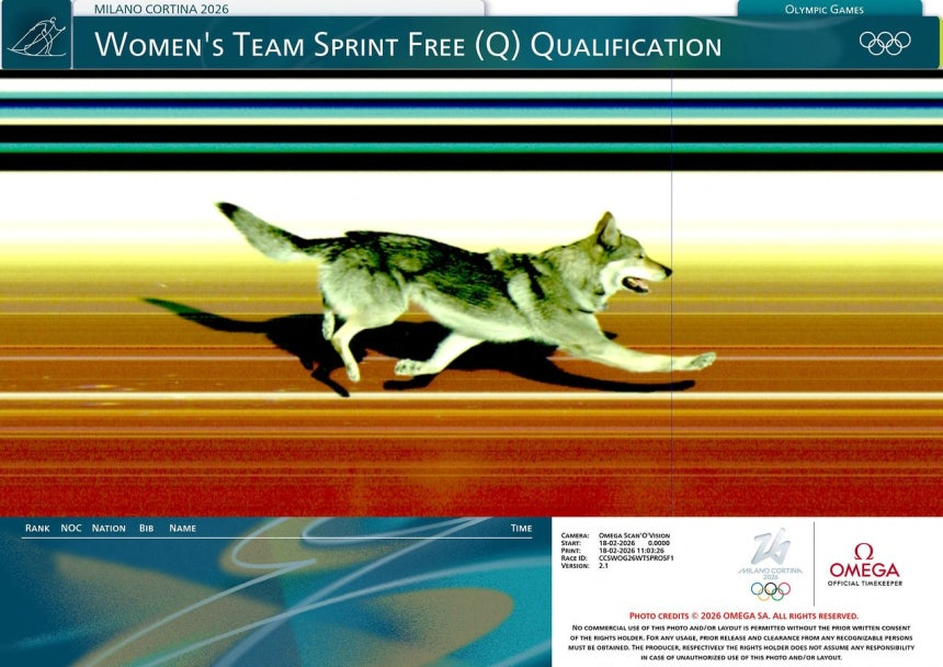 18일(현지시간) 열린 2026 밀라노·코르티나담페초 동계 올림픽 여자 크로스컨트리스키 팀 스프린트 예선 경기에서 난입한 개가 결승선을 통과하는 모습. 오메가 제공