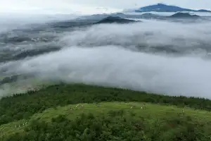 “오름 달리려 2000명 몰려온다”… 제주 트레일런, 하루 만에 완판