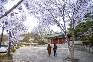 용산구, 3·1절 맞아 태극기 거리·태극기 트리 만든다