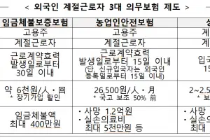 ‘고령·외국인 대상 고려’…외국인 계절근로자 의무보험 위반, 1년 처벌 유예