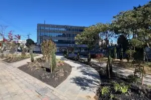 광주 동구, ‘도시바람길숲’ 조성 사업 본격 추진