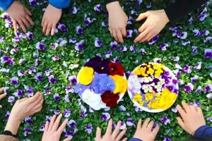 봄을 기다리는 마음으로