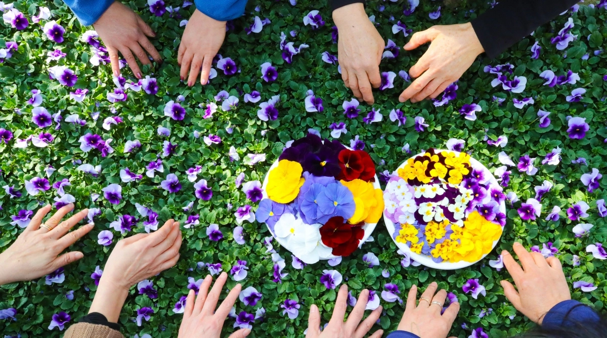 봄을 기다리는 마음으로