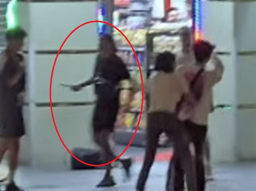 호주 시드니에서 용의자 중 한 명이 한국인 남성에게 망치를 치켜드는 모습이 영상에 포착됐다. 인스타그램 캡처