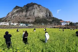 주말 낮 최고 21도까지…큰 일교차·강풍·건조 주의