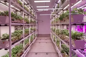 전국서 처음 ‘폐지하보도’ 활용 실증형 스마트팜 첫 선