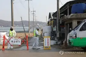 사료에서 ‘ASF 바이러스’ 검출 의심…경기도, 사용중지 긴급 명령